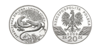 20 złotych ( moneta przykładowa)